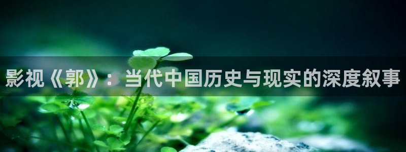 97超碰成人在线：影视《郭》：当代中国历史与现实的深度叙事