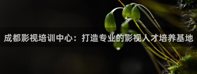 成人免费超碰：成都影视培训中心：打造专业的影视人才培养基地