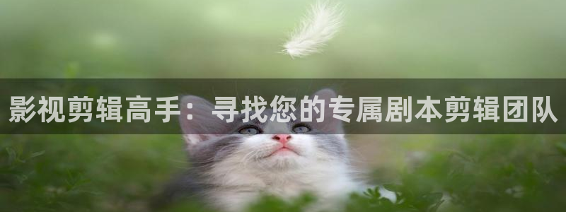 处女超碰：影视剪辑高手：寻找您的专属剧本剪辑团队