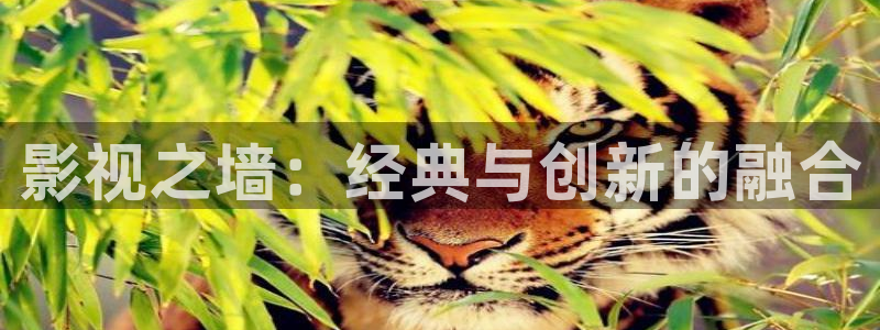 超碰987：影视之墙：经典与创新的融合